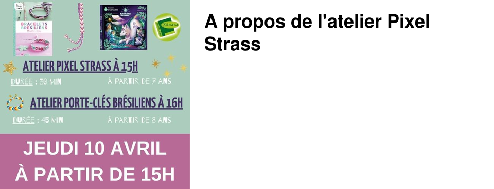 A propos de l'atelier Pixel Strass 